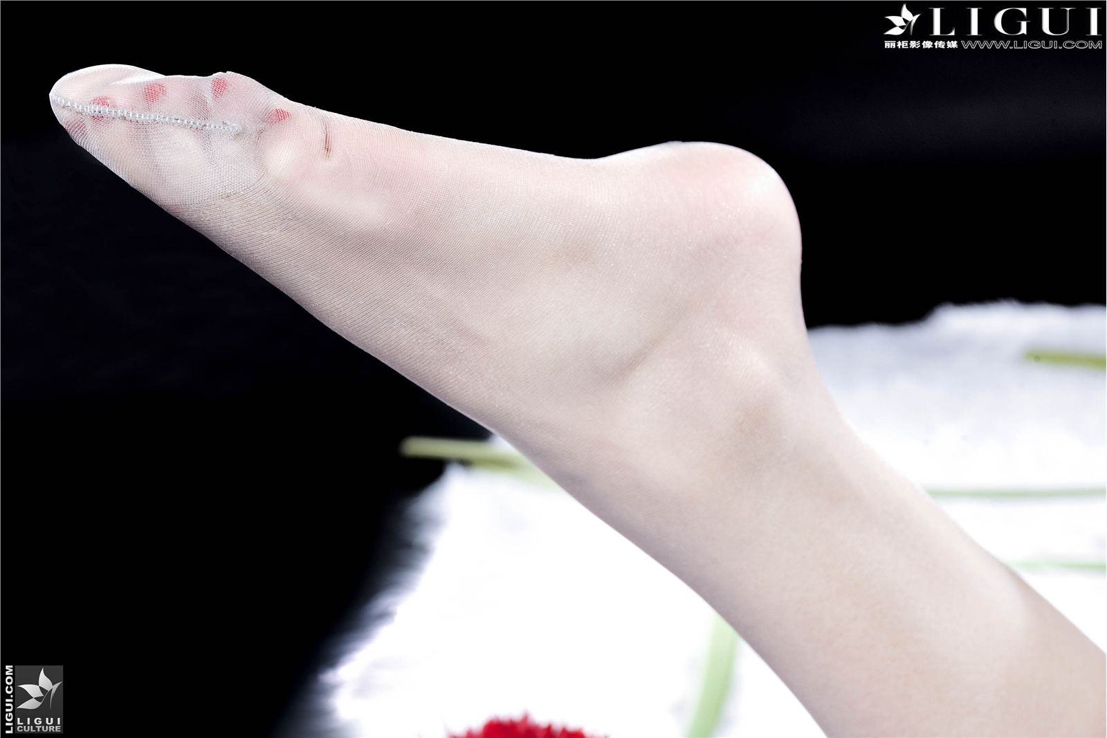 [丽柜vip] [2013.01.02] Model 司琪 性感丝袜美女图片